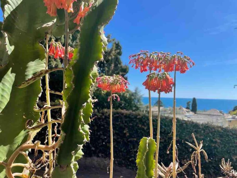 Nervi Residenziale A Due Passi Dal Mare Apartment Genoa Luaran gambar